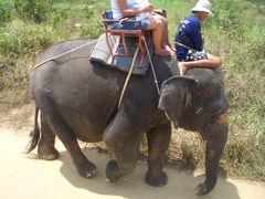 濃密なプーケットの旅(4)