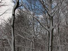 スノーシューで樹氷を拝む～宮城蔵王～ snow walk in Zao