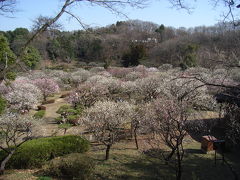 町田　薬師池公園