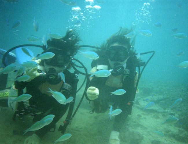 まだ美ら海水族館もない頃、、、<br />週末に2泊3日で、同期の女の子3人で沖縄へ！<br />栄養ドリンク片手に濃厚な3日間を過ごしました♪