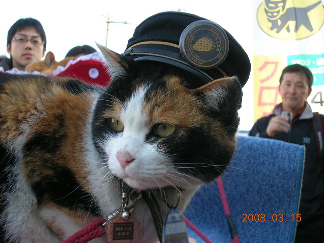和歌山県に猫の駅長がいるとゆうので会いに行ってきました。<br /><br />貴志川線は廃線の危機にあったのですが、南海鉄道から両備グループのわかやま電鉄に引き継がれ、地元の方の存続運動や募金などの結果2006年4月1日に運営を再開しました。そして2007年1月5日に日本初の猫の「たま駅長」が誕生し、招き猫パワーを発揮してお客さんを呼び戻しつつあるようです。<br /><br />
