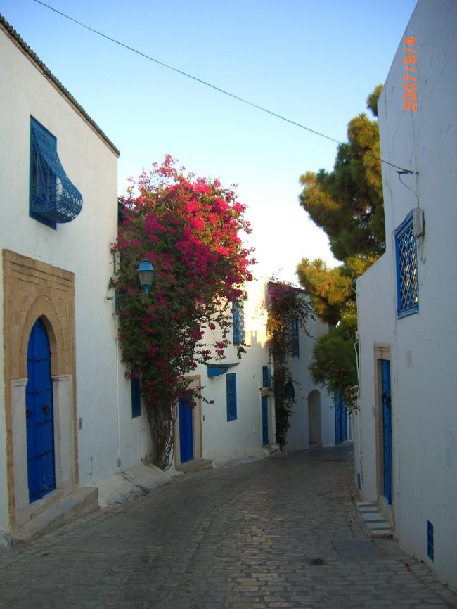 チュニジア旅行の続きです♪<br /><br />チュニジアの北部は南部とは全く違う魅力のある街です!!<br /><br />個人的には南部のが好きなのですが、リゾート地としてヨーロピアンにとても人気があるのも頷けます。<br /><br />