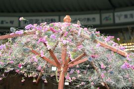 2008春、フラワードーム(2/3)：功績者の端山さん追悼コーナー、蘭の花に囲まれた遺影