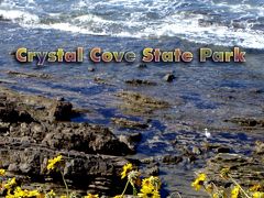 Crystal Cove State Park　　　　クリスタル　コーブ　州立公園