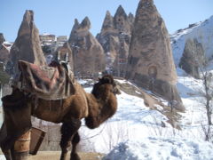 トルコ　ひとり旅