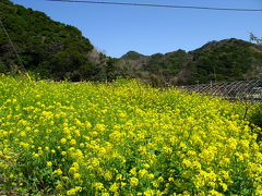 鋸山ハイキング