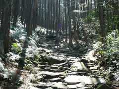 【途中】美しい石畳の上で　（熊野古道）