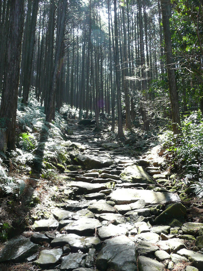 drakenが住む愛知県から一番近い世界遺産の『熊野古道』<br /><br />いつでも行けると思い、なかなか実行まではいたらず・・・。<br /><br />今回やっと実行する事に、drakenの熊野古道デビューとなったのは、熊野古道随一の”美しい石畳”を持つと言われる<br />『馬超（まごせ）峠』コースです。<br /><br />