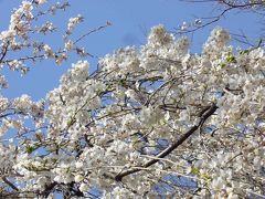 井の頭自然文化園