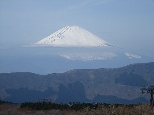武蔵野別館 宮ノ下温泉 神奈川県 の旅行記 ブログ By ったさん フォートラベル
