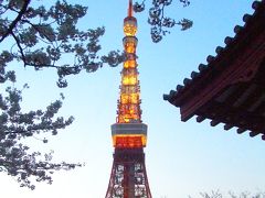芝界隈　2008春　桜を求めて～増上寺・東京タワー・芝公園～