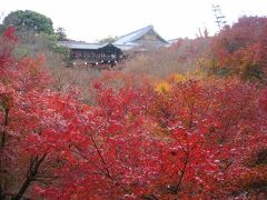 KYOTO～2005年初冬～