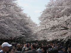 上野　桜まつり