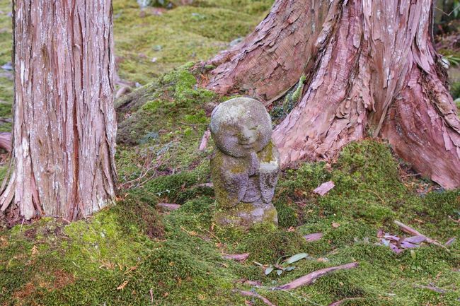 春とは名ばかりの大原三千院