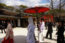 京の世界遺産　～下鴨神社～