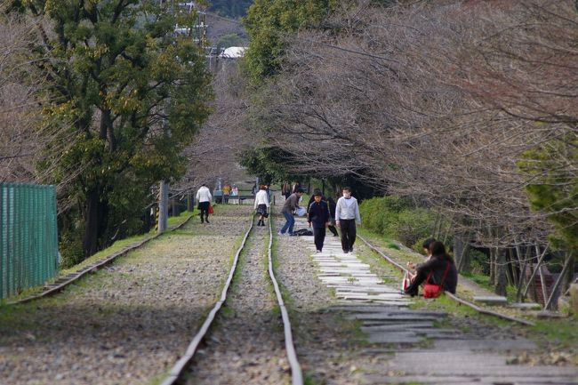 桜にはまだ早いインクライン散歩