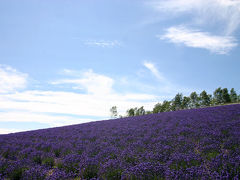 200707北海道1（富良野＆美瑛）