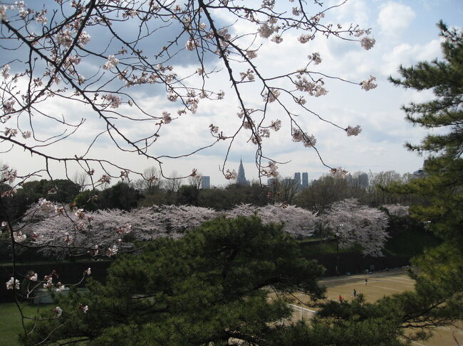 千代田区を中心とする都心は3月29日の土曜日に桜が満開状態。春休みだし、ぽかぽかしていたし、まあ人が出ていること、出ていること、その賑やかさといったら、驚きでした。お花見客が酔いつぶれているのを見たくないので、（臭いし）、皇居の回りに行くことにしました。<br /><br />2021.03.13　ここで紹介した四ツ谷駅の二階にあったお店は、すでに撤退。<br />他のレストランに変わっています。<br />悪しからず。