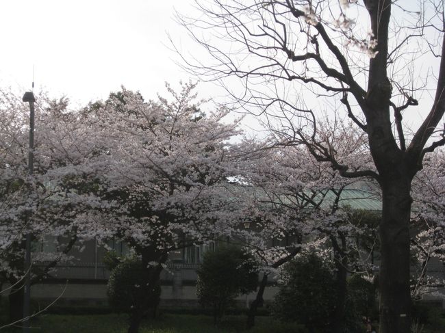 東京には各国の大使館が色々あります。一番最高のロケーションを確保しているのが、イギリスです。かつてのイギリス生活の関係で、今回大使公邸に久し振りにお邪魔しました。セキュリティーがとても厳しくなっていて、時代を感じさせられました。<br /><br /><br />2017.05．23　地理情報を追加