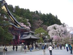 2008桜日記 第7弾  身延山久遠寺 桜ウォーキング編 