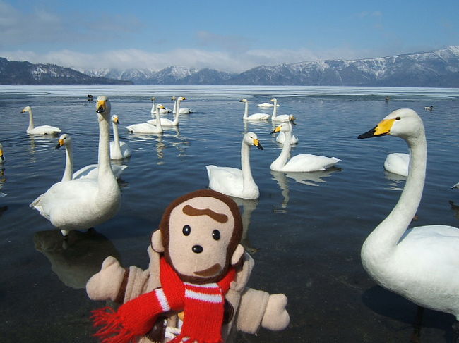 ばざーる君がレポートする旅日記でござ～る。<br />流氷砕氷船・氷爆まつり・阿寒湖・摩周湖・旭山動物園を旅する<br />３日間その１をご紹介するでござ～る。<br />Ｐａｒｔ１は↓をご覧くださいでござ～る。<br />http://4travel.jp/traveler/bazar-sahotan/album/10162215/<br /><br />その２は↓をご覧くださいでござ～る。<br />http://4travel.jp/traveler/bazar-sahotan/album/10229657/