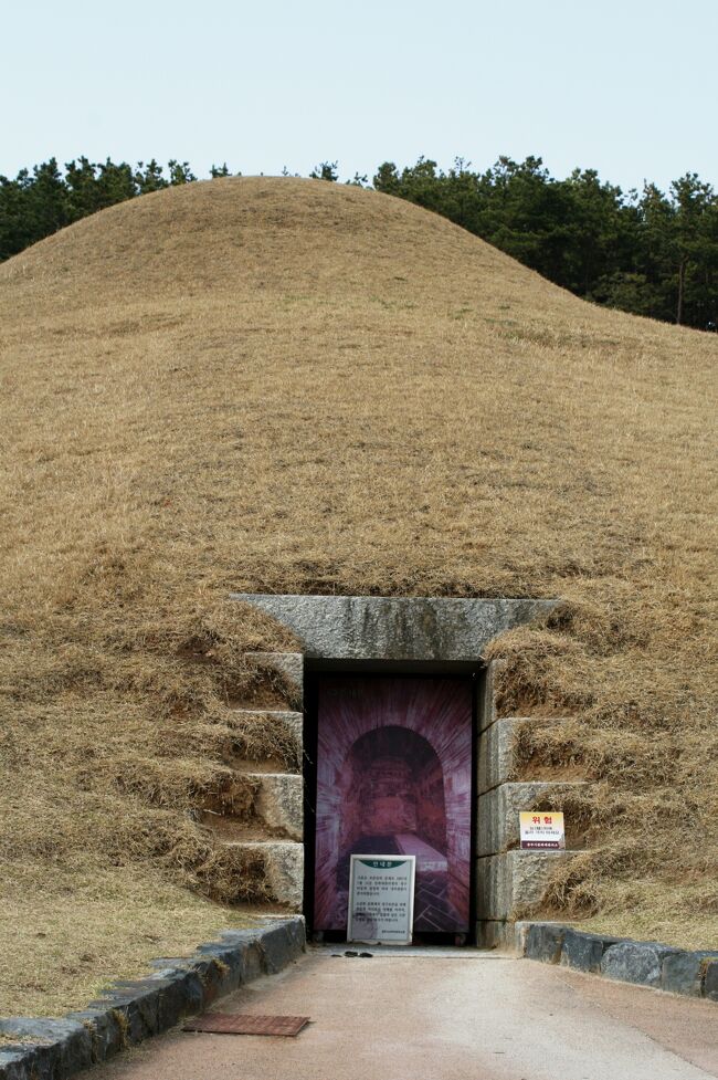 公州観光の続きです。武寧王陵等を見学しました。1971年に未盗掘のまま発見された武寧王陵は、王妃との合葬墳でした。数々の副葬品が残されていました。武寧王陵の木棺の材質が日本の近畿地方南部でしか産出しない高野槙と判明したことで、当時の日本でも大きな話題となりました。(ウィキペディア、るるぶ・韓国・ソウル)<br />