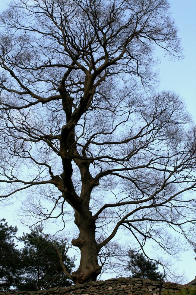 百済時代の一時期、宮城が置かれた公山城(コンサンソン)紹介の続きです。(ウィキペディア、るるぶ・韓国・ソウル)