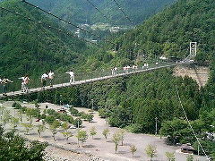 恐怖の吊り橋、谷瀬の吊り橋