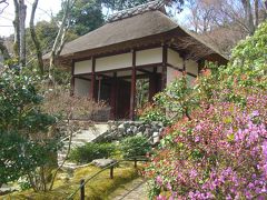 春の古都　京都（嵯峨野：常寂光寺）