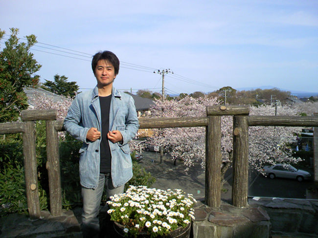 伊豆海洋公園（ダイビング）からの帰りですが、城ヶ崎海岸駅前は桜満開でした。とても綺麗でしょう！