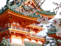 京都桜便り part 4  平安神宮～疏水