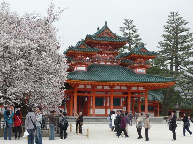桜便りが聞こえるといつもワクワクします。<br />これから京都へお花見に出かける方、そしてなかなか行けない方も見て欲しい。<br />去年も例年より早く咲きました。<br />4/1～3で染井吉野は満開でしたが、平安神宮の南神苑の枝垂れ桜は二部咲きくらいでとてもがっかりしました。枝垂れ桜を目的に行く方は3日～一週間ほどずらすと良いでしょう。<br />御室桜もシーズンは4月中旬のようですね。（編集中）