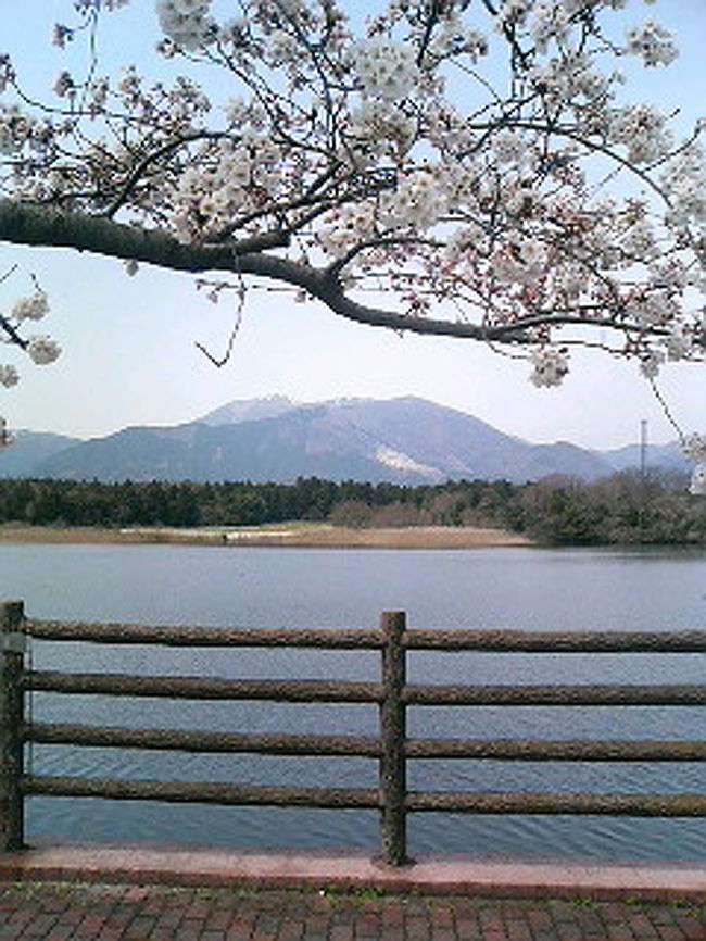 四日市の北側にいなべというところがある。四日市からずっと北に行けば関が原にでるが、その途中にある街だ。そこに仕事が入ったので、行ってみるととってもいいところだ。桜の咲く季節でもあるし、滋賀県との県境の山はなかなか見事だ。なかでも藤原岳というのがあり、登山家の方もよく来るらしい。４月に入っても頂上のあたりは雪が積もっていて、それもまたいい。なお、いなべから滋賀の近江八幡に抜ける道を通ろうと思ったが、２月は雪で通行止め、今回は滋賀県側で工事のため通行止めだった。おそらく景色もいいだろうから、次にいくときはその道を通ってみたいと思っている。<br /><br /><br /><br /><br />