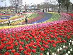 木曽三川公園、チューリップ祭。