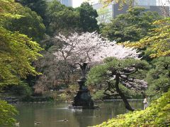 春爛漫の日比谷公園散策?有楽門～雲形の池迄