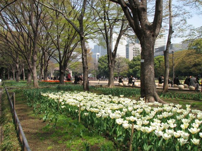 ４月３日、午前１１時３０分より午後１２時３０分までの間の一時間、光り輝く春爛漫の日比谷公園をたっぷりと見ることが出来た。ここでは雲形の池～日比谷門までの間をまとめてみた。<br /><br /><br /><br />＊写真は第二花壇のチューリップ園