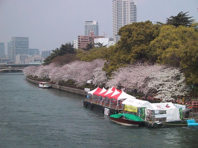 【2008年の桜・第3弾!社用ついでに大急ぎの寄り道】<br />急に発生した社用外出の行き先は天満橋界隈。天満橋と言えば、すぐそばに流れる大川のほとりに桜並木があって、もうすぐ開催される「造幣局の通り抜け」へと繋がっている。あまり時間は取れないが、せめて橋の上からだけでも川べりの桜を見ることができればと思いつつ、事務所を飛び出した。<br /><br />【メンバー】<br />一人。<br /><br />【ルート】<br />天満橋周辺(徒歩)。<br /><br />【表紙の写真】<br />天満橋北側の大川河畔の桜。
