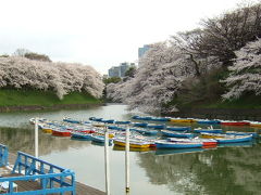 東京桜紀行～千鳥ヶ淵～