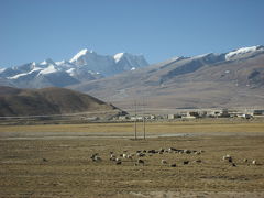 2007年末年始に行ってきました成都～チベット?（青蔵鉄道編）