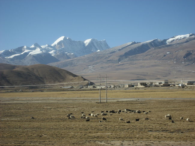 北京五輪前にチベットに行くという夢をかなえるべくチベットを目指して2007年末から2008年始に行ってきました。<br />今話題の青蔵鉄道の車窓から見るチベット高原の景色はやはりすばらしいものでした。冬ならではの雲ひとつ無い濃い青空も良かったです。問題は酸素が薄いことだけです。<br /><br />旅程は<br />秋田（飛行機JAL）～関西（JAL)～広州（CA)～<br />成都（鉄道）～ラサ（ランクル）～ギャンツェ～<br />シガツェ～ラツェ～シェーカル～エベレストベースキャンプ～<br />ティンリー（バス）～シガツェ～ラサ（飛行機CA）～成都（CZ)～広州（JAL)～関西（JAL)～秋田<br />です。<br />秋田と広州の往復はJAL特典で、そのほかはWEBと現地手配で行きました。<br /><br />
