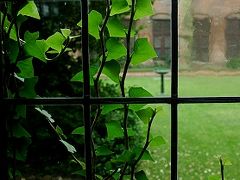 ★ドイツ北部の旅（３）ロストック文化史博物館へ