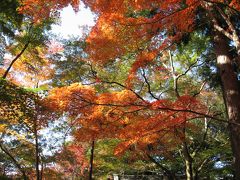 ツーリング！入らないけど有馬温泉へ♪