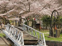 京都桜便り part6 満開の南禅寺界隈 1．インクライン