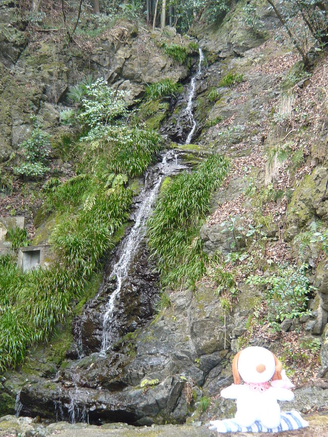 日曜日なのに天気は雨模様...。<br />当初は八幡市の背割堤に花見に行こうかとも考えていたのですが、この雨ではつまらないだろうし、見頃にはまだ早いかとも思われたので、「こんな日は滝を見に行こう！」ということで、大阪府島本町にある『水無瀬の滝』に行ってきました。<br />『水無瀬の滝』は、名神高速道路上り線（左ルート）天王山トンネル入口のすぐ横、という珍しい場所にあります。<br />※名神高速走行中には、一瞬のことなので見ることはできません。