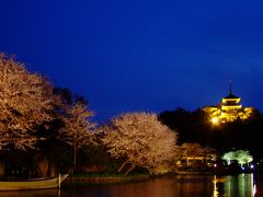 葉山→三渓園の夜桜・・・あけて鎌倉