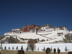 2007年末年始に行ってきました。チベット?（ラサ市内?ジョカン、セラ寺編）