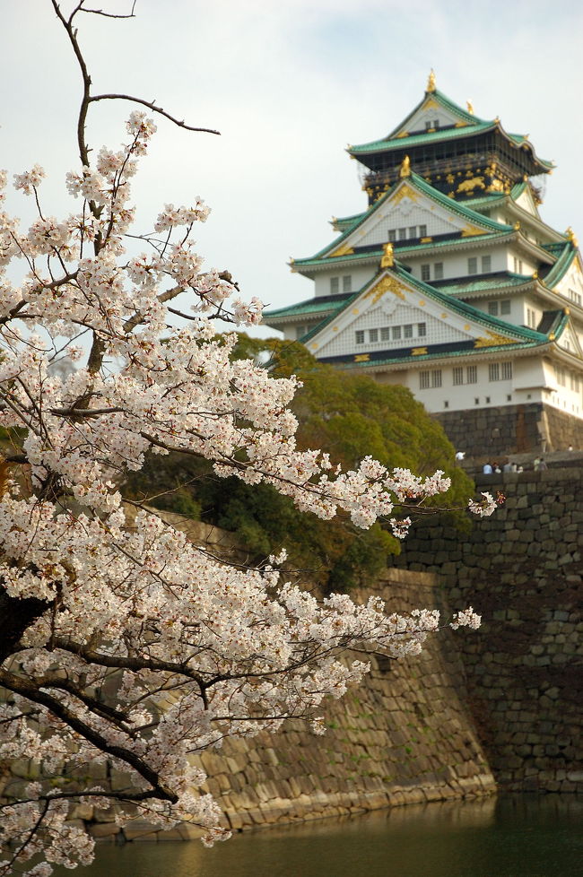 今年の大阪は運よく桜の満開が週末になった。妻とカメラを手に大阪城公園に向かった。桜の花のほか桃園の桃の花も綺麗に咲いていた。今年は例年と違い黄砂もなく晴天の穏やかな春の日だった。大阪城公園は桜の花と春の訪れを楽しむ人々で賑わっていた。