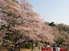 2008春　岩槻城址公園