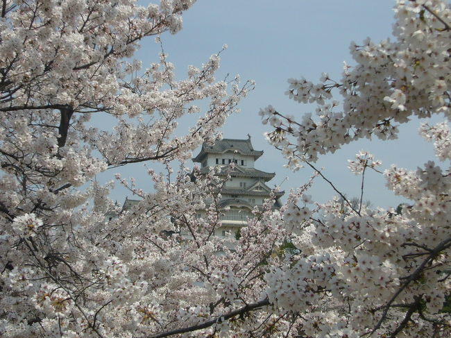 今年のお花見は姫路城。<br />この季節に花見目的にお城に行くのは初めて。<br />あまりの人出にびっくりです。<br />満開の桜と立派なお城の姿を堪能した後は<br />お城を借景とする日本庭園・好古園へ。<br />庭園にもたくさんの花が咲いていてとてもきれいでした。<br />姫路の一日を満喫です。　