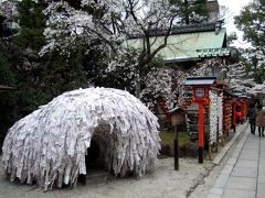 今年も桜咲く京都にやってきました（安井金比羅宮、円山公園）